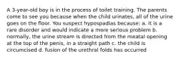 A 3-year-old boy is in the process of toilet training. The parents come to see you because when the child urinates, all of the urine goes on the floor. You suspect hypospadias because: a. it is a rare disorder and would indicate a more serious problem b. normally, the urine stream is directed from the meatal opening at the top of the penis, in a straight path c. the child is circumcised d. fusion of the urethral folds has occurred