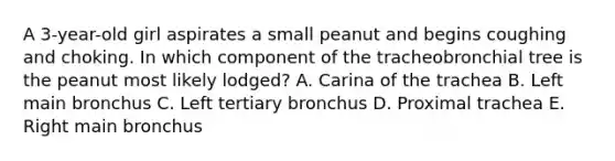 A 3-year-old girl aspirates a small peanut and begins coughing and choking. In which component of the tracheobronchial tree is the peanut most likely lodged? A. Carina of the trachea B. Left main bronchus C. Left tertiary bronchus D. Proximal trachea E. Right main bronchus