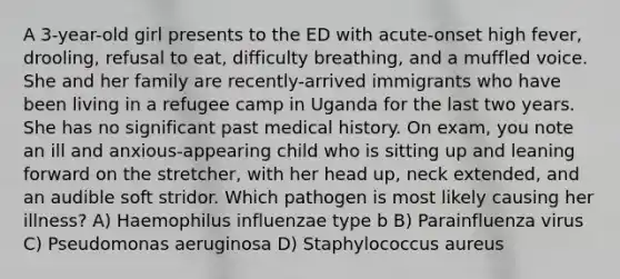 A 3-year-old girl presents to the ED with acute-onset high fever, drooling, refusal to eat, difficulty breathing, and a muffled voice. She and her family are recently-arrived immigrants who have been living in a refugee camp in Uganda for the last two years. She has no significant past medical history. On exam, you note an ill and anxious-appearing child who is sitting up and leaning forward on the stretcher, with her head up, neck extended, and an audible soft stridor. Which pathogen is most likely causing her illness? A) Haemophilus influenzae type b B) Parainfluenza virus C) Pseudomonas aeruginosa D) Staphylococcus aureus