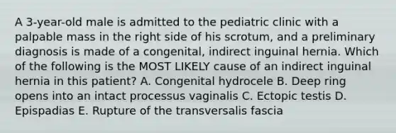 A 3-year-old male is admitted to the pediatric clinic with a palpable mass in the right side of his scrotum, and a preliminary diagnosis is made of a congenital, indirect inguinal hernia. Which of the following is the MOST LIKELY cause of an indirect inguinal hernia in this patient? A. Congenital hydrocele B. Deep ring opens into an intact processus vaginalis C. Ectopic testis D. Epispadias E. Rupture of the transversalis fascia