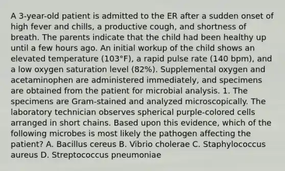 A 3-year-old patient is admitted to the ER after a sudden onset of high fever and chills, a productive cough, and shortness of breath. The parents indicate that the child had been healthy up until a few hours ago. An initial workup of the child shows an elevated temperature (103°F), a rapid pulse rate (140 bpm), and a low oxygen saturation level (82%). Supplemental oxygen and acetaminophen are administered immediately, and specimens are obtained from the patient for microbial analysis. 1. The specimens are Gram-stained and analyzed microscopically. The laboratory technician observes spherical purple-colored cells arranged in short chains. Based upon this evidence, which of the following microbes is most likely the pathogen affecting the patient? A. Bacillus cereus B. Vibrio cholerae C. Staphylococcus aureus D. Streptococcus pneumoniae