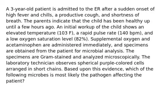 A 3-year-old patient is admitted to the ER after a sudden onset of high fever and chills, a productive cough, and shortness of breath. The parents indicate that the child has been healthy up until a few hours ago. An initial workup of the child shows an elevated temperature (103 F), a rapid pulse rate (140 bpm), and a low oxygen saturation level (82%). Supplemental oxygen and acetaminophen are administered immediately, and specimens are obtained from the patient for microbial analysis. The specimens are Gram-stained and analyzed microscopically. The laboratory technician observes spherical purple-colored cells arranged in short chains. Based upon this evidence, which of the following microbes is most likely the pathogen affecting the patient?