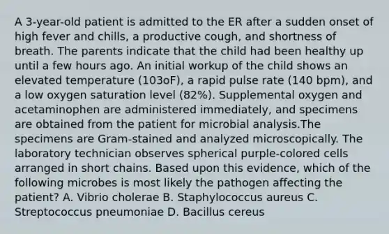 A 3-year-old patient is admitted to the ER after a sudden onset of high fever and chills, a productive cough, and shortness of breath. The parents indicate that the child had been healthy up until a few hours ago. An initial workup of the child shows an elevated temperature (103oF), a rapid pulse rate (140 bpm), and a low oxygen saturation level (82%). Supplemental oxygen and acetaminophen are administered immediately, and specimens are obtained from the patient for microbial analysis.The specimens are Gram-stained and analyzed microscopically. The laboratory technician observes spherical purple-colored cells arranged in short chains. Based upon this evidence, which of the following microbes is most likely the pathogen affecting the patient? A. Vibrio cholerae B. Staphylococcus aureus C. Streptococcus pneumoniae D. Bacillus cereus