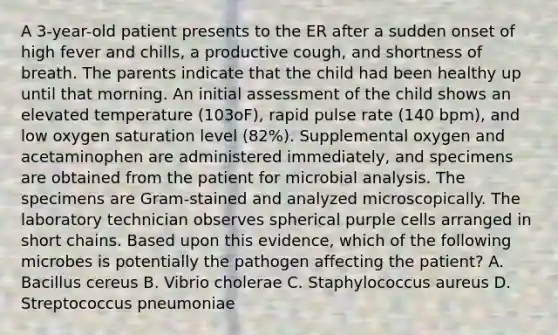 A 3-year-old patient presents to the ER after a sudden onset of high fever and chills, a productive cough, and shortness of breath. The parents indicate that the child had been healthy up until that morning. An initial assessment of the child shows an elevated temperature (103oF), rapid pulse rate (140 bpm), and low oxygen saturation level (82%). Supplemental oxygen and acetaminophen are administered immediately, and specimens are obtained from the patient for microbial analysis. The specimens are Gram-stained and analyzed microscopically. The laboratory technician observes spherical purple cells arranged in short chains. Based upon this evidence, which of the following microbes is potentially the pathogen affecting the patient? A. Bacillus cereus B. Vibrio cholerae C. Staphylococcus aureus D. Streptococcus pneumoniae