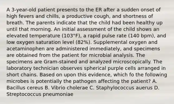 A 3-year-old patient presents to the ER after a sudden onset of high fevers and chills, a productive cough, and shortness of breath. The parents indicate that the child had been healthy up until that morning. An initial assessment of the child shows an elevated temperature (103°F), a rapid pulse rate (140 bpm), and low oxygen saturation level (82%). Supplemental oxygen and acetaminophen are administered immediately, and specimens are obtained from the patient for microbial analysis. The specimens are Gram-stained and analyzed microscopically. The laboratory technician observes spherical purple cells arranged in short chains. Based on upon this evidence, which fo the following microbes is potentially the pathogen affecting the patient? A. Bacillus cereus B. Vibrio cholerae C. Staphylococcus auerus D. Streptococcus pneumoniae