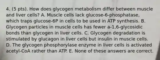 4. (5 pts). How does glycogen metabolism differ between muscle and liver cells? A. Muscle cells lack glucose-6-phosphatase, which traps glucose-6P in cells to be used in ATP synthesis. B. Glycogen particles in muscle cells has fewer a-1,6-glycosidic bonds than glycogen in liver cells. C. Glycogen degradation is stimulated by glucagon in liver cells but insulin in muscle cells. D. The glycogen phosphorylase enzyme in liver cells is activated acetyl-CoA rather than ATP. E. None of these answers are correct.