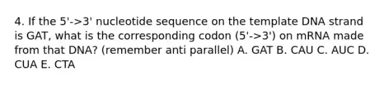 4. If the 5'->3' nucleotide sequence on the template DNA strand is GAT, what is the corresponding codon (5'->3') on mRNA made from that DNA? (remember anti parallel) A. GAT B. CAU C. AUC D. CUA E. CTA