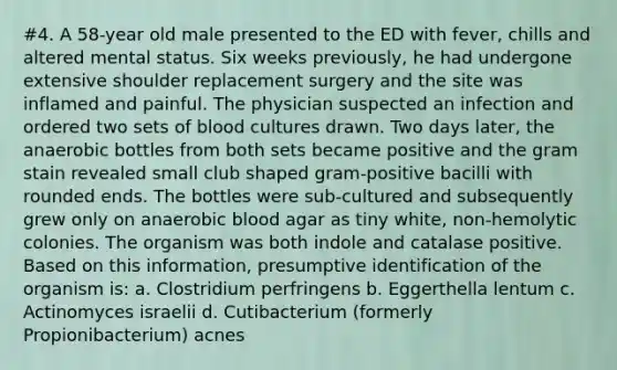 #4. A 58-year old male presented to the ED with fever, chills and altered mental status. Six weeks previously, he had undergone extensive shoulder replacement surgery and the site was inflamed and painful. The physician suspected an infection and ordered two sets of blood cultures drawn. Two days later, the anaerobic bottles from both sets became positive and the gram stain revealed small club shaped gram-positive bacilli with rounded ends. The bottles were sub-cultured and subsequently grew only on anaerobic blood agar as tiny white, non-hemolytic colonies. The organism was both indole and catalase positive. Based on this information, presumptive identification of the organism is: a. Clostridium perfringens b. Eggerthella lentum c. Actinomyces israelii d. Cutibacterium (formerly Propionibacterium) acnes