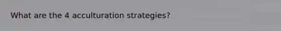 What are the 4 acculturation strategies?