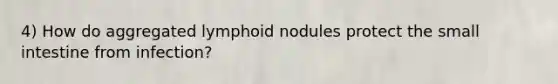 4) How do aggregated lymphoid nodules protect the small intestine from infection?