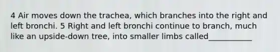 4 Air moves down the trachea, which branches into the right and left bronchi. 5 Right and left bronchi continue to branch, much like an upside-down tree, into smaller limbs called___________