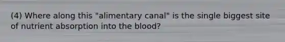 (4) Where along this "alimentary canal" is the single biggest site of nutrient absorption into the blood?