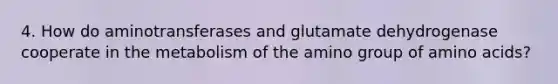 4. How do aminotransferases and glutamate dehydrogenase cooperate in the metabolism of the amino group of amino acids?