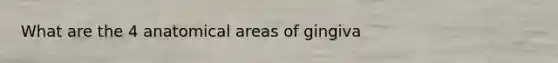 What are the 4 anatomical areas of gingiva