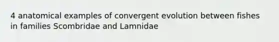 4 anatomical examples of convergent evolution between fishes in families Scombridae and Lamnidae