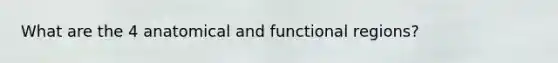 What are the 4 anatomical and functional regions?