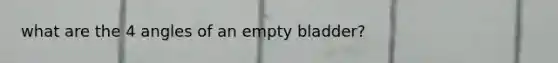 what are the 4 angles of an empty bladder?