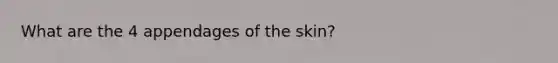 What are the 4 appendages of the skin?