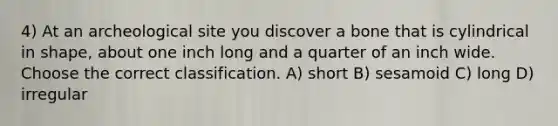 4) At an archeological site you discover a bone that is cylindrical in shape, about one inch long and a quarter of an inch wide. Choose the correct classification. A) short B) sesamoid C) long D) irregular