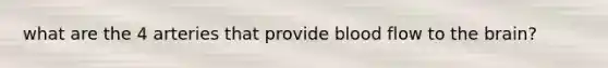 what are the 4 arteries that provide blood flow to the brain?