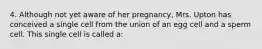 4. Although not yet aware of her pregnancy, Mrs. Upton has conceived a single cell from the union of an egg cell and a sperm cell. This single cell is called a: