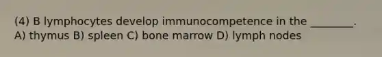 (4) B lymphocytes develop immunocompetence in the ________. A) thymus B) spleen C) bone marrow D) lymph nodes