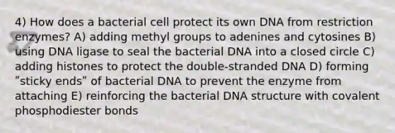 4) How does a bacterial cell protect its own DNA from restriction enzymes? A) adding methyl groups to adenines and cytosines B) using DNA ligase to seal the bacterial DNA into a closed circle C) adding histones to protect the double-stranded DNA D) forming ʺsticky endsʺ of bacterial DNA to prevent the enzyme from attaching E) reinforcing the bacterial DNA structure with covalent phosphodiester bonds