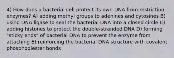 4) How does a bacterial cell protect its own DNA from restriction enzymes? A) adding methyl groups to adenines and cytosines B) using DNA ligase to seal the bacterial DNA into a closed circle C) adding histones to protect the double-stranded DNA D) forming "sticky ends" of bacterial DNA to prevent the enzyme from attaching E) reinforcing the bacterial DNA structure with covalent phosphodiester bonds