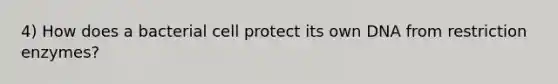 4) How does a bacterial cell protect its own DNA from restriction enzymes?