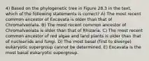 4) Based on the phylogenetic tree in Figure 28.3 in the text, which of the following statements is correct? A) The most recent common ancestor of Excavata is older than that of Chromalveolata. B) The most recent common ancestor of Chromalveolata is older than that of Rhizaria. C) The most recent common ancestor of red algae and land plants is older than that of nucleariids and fungi. D) The most basal (first to diverge) eukaryotic supergroup cannot be determined. E) Excavata is the most basal eukaryotic supergroup.