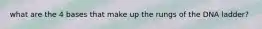 what are the 4 bases that make up the rungs of the DNA ladder?