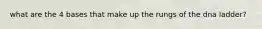 what are the 4 bases that make up the rungs of the dna ladder?