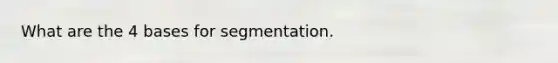 What are the 4 bases for segmentation.