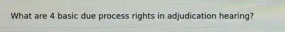 What are 4 basic due process rights in adjudication hearing?