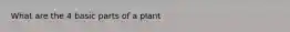 What are the 4 basic parts of a plant