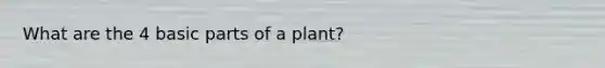 What are the 4 basic parts of a plant?