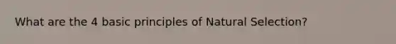 What are the 4 basic principles of Natural Selection?