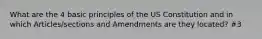 What are the 4 basic principles of the US Constitution and in which Articles/sections and Amendments are they located? #3