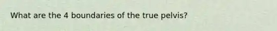 What are the 4 boundaries of the true pelvis?