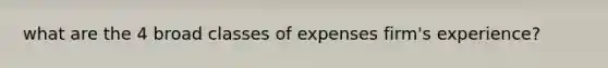 what are the 4 broad classes of expenses firm's experience?