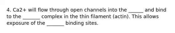 4. Ca2+ will flow through open channels into the ______ and bind to the _______ complex in the thin filament (actin). This allows exposure of the _______ binding sites.