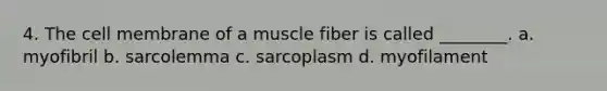 4. The cell membrane of a muscle fiber is called ________. a. myofibril b. sarcolemma c. sarcoplasm d. myofilament