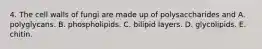 4. The cell walls of fungi are made up of polysaccharides and A. polyglycans. B. phospholipids. C. bilipid layers. D. glycolipids. E. chitin.