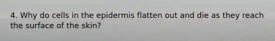 4. Why do cells in <a href='https://www.questionai.com/knowledge/kBFgQMpq6s-the-epidermis' class='anchor-knowledge'>the epidermis</a> flatten out and die as they reach the surface of the skin?