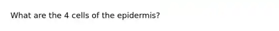 What are the 4 cells of the epidermis?