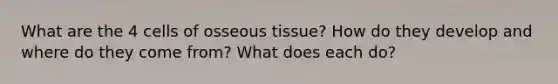 What are the 4 cells of osseous tissue? How do they develop and where do they come from? What does each do?