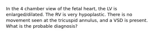 In the 4 chamber view of the fetal heart, the LV is enlarged/dilated. The RV is very hypoplastic. There is no movement seen at the tricuspid annulus, and a VSD is present. What is the probable diagnosis?