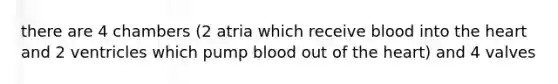 there are 4 chambers (2 atria which receive blood into the heart and 2 ventricles which pump blood out of the heart) and 4 valves