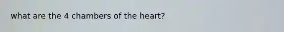 what are the 4 chambers of the heart?