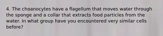 4. The choanocytes have a flagellum that moves water through the sponge and a collar that extracts food particles from the water. In what group have you encountered very similar cells before?